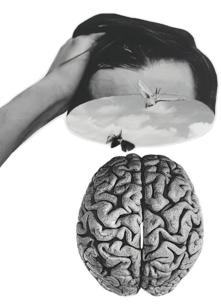 social media marketing agency mumbai